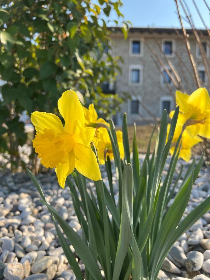 Atmosfere Charme & Country Hotel Borgo San Mauro Buitenkant foto